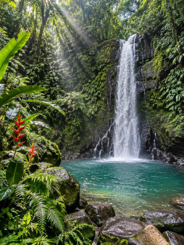 Cascade dans la forêt tropicale de la Soufrance, Basse-Terre